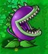 Chomper Plant